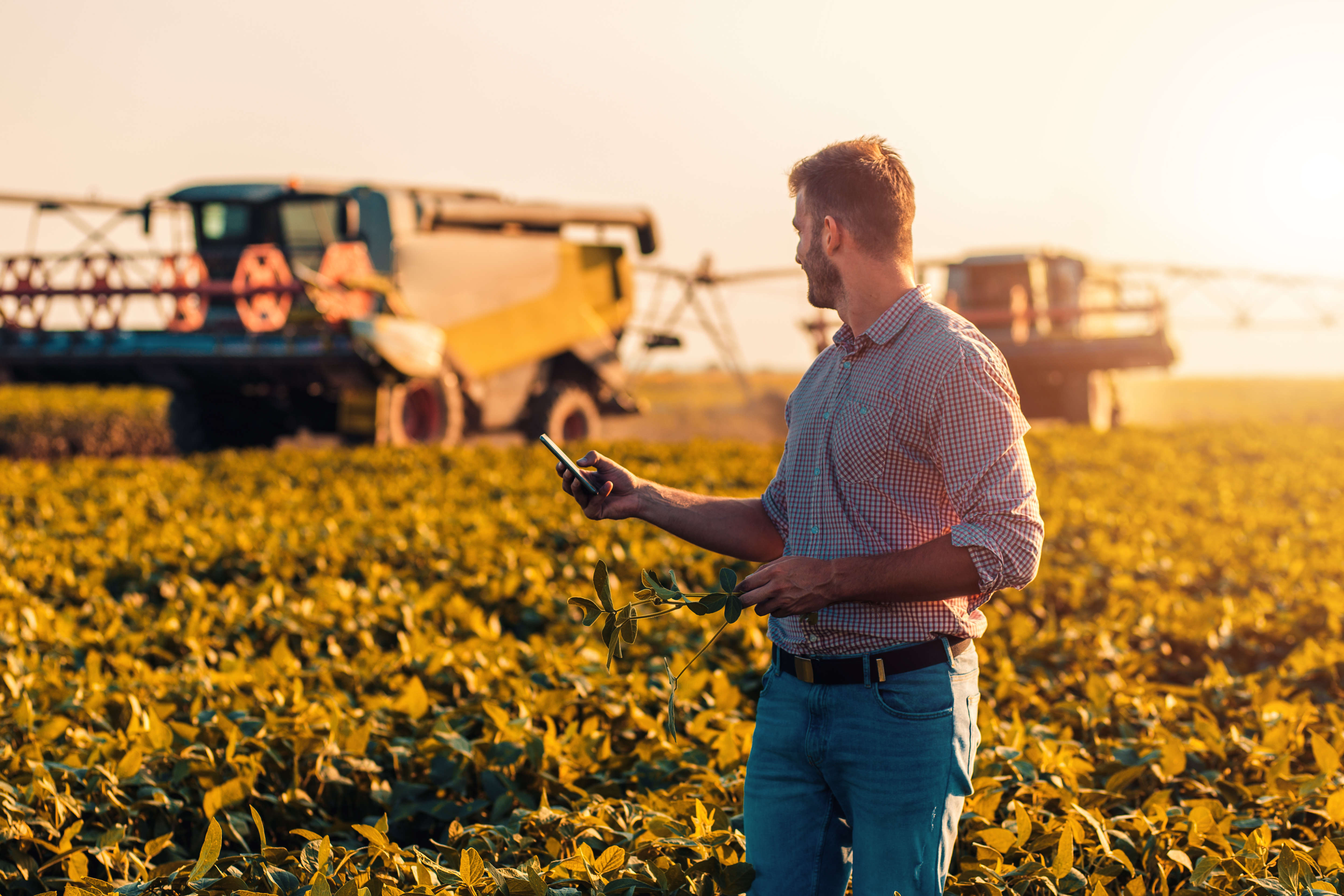 Farmer on phone